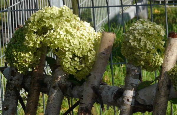 Prie bažnyčios – rudens šventė „Štetl Jonava“