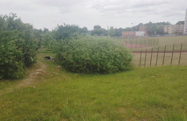 Vietoj šiltos lovos – nakvynė  po atviru dangumi su butelaičiu