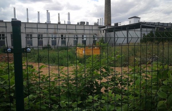 Jonas: Tarp Sodų gatvės ir kepyklos – panašėja į gyvatyną