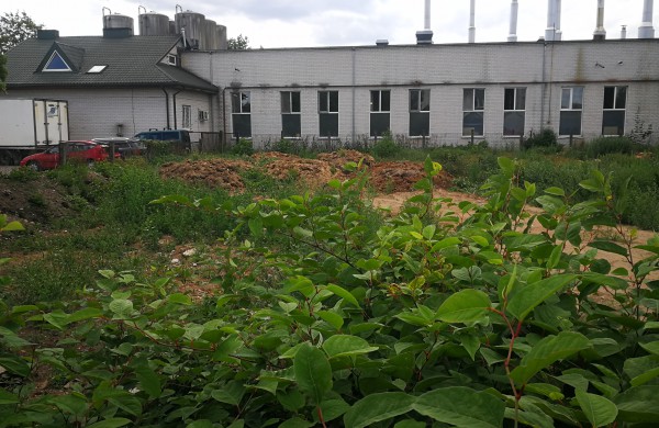 Jonas: Tarp Sodų gatvės ir kepyklos – panašėja į gyvatyną