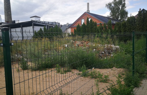 Jonas: Tarp Sodų gatvės ir kepyklos – panašėja į gyvatyną