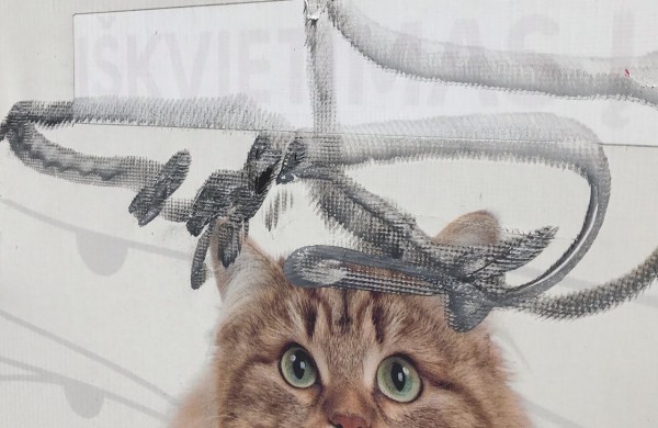 Savaitgalį apgadintas veterinarijos gydyklos ,,Sabveta“ pastatas: gal jūs esate įvykio liudytojai? 