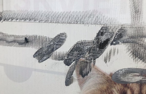 Savaitgalį apgadintas veterinarijos gydyklos ,,Sabveta“ pastatas: gal jūs esate įvykio liudytojai? 