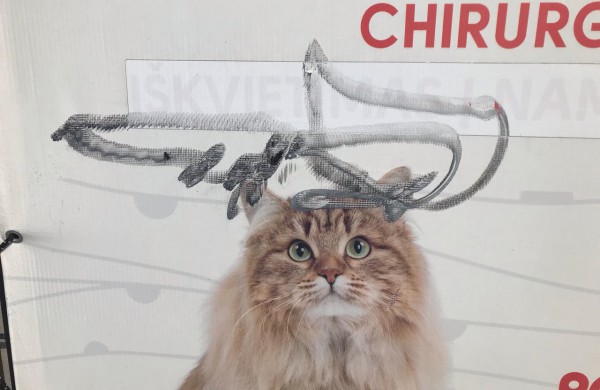 Savaitgalį apgadintas veterinarijos gydyklos ,,Sabveta“ pastatas: gal jūs esate įvykio liudytojai? 