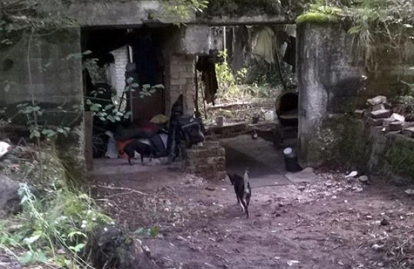 Į mišką atsikraustė gyventi su vaikais, mažiausiam – trys mėnesiai