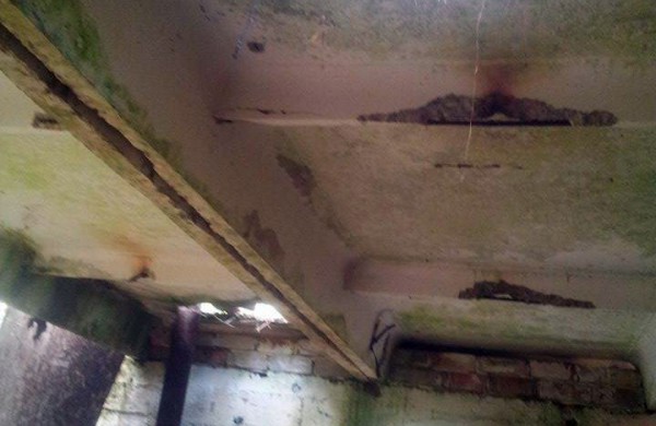 Į mišką atsikraustė gyventi su vaikais, mažiausiam – trys mėnesiai