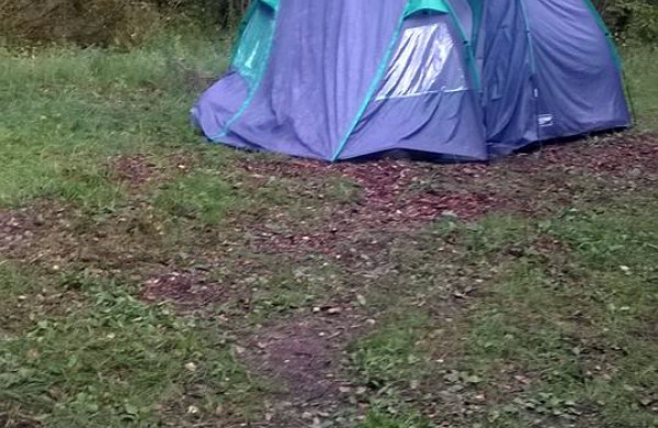 Į mišką atsikraustė gyventi su vaikais, mažiausiam – trys mėnesiai