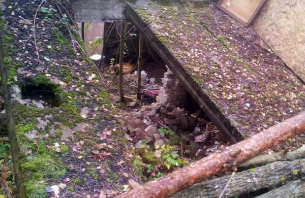 Į mišką atsikraustė gyventi su vaikais, mažiausiam – trys mėnesiai