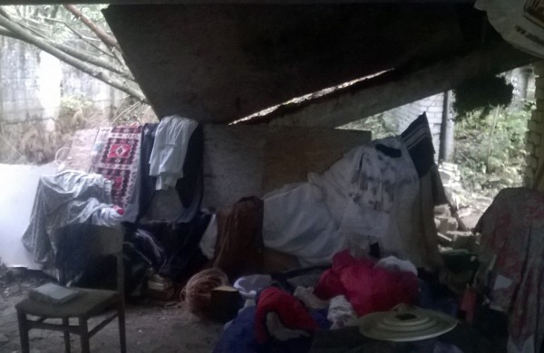 Į mišką atsikraustė gyventi su vaikais, mažiausiam – trys mėnesiai