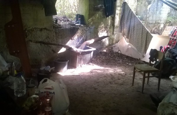 Į mišką atsikraustė gyventi su vaikais, mažiausiam – trys mėnesiai