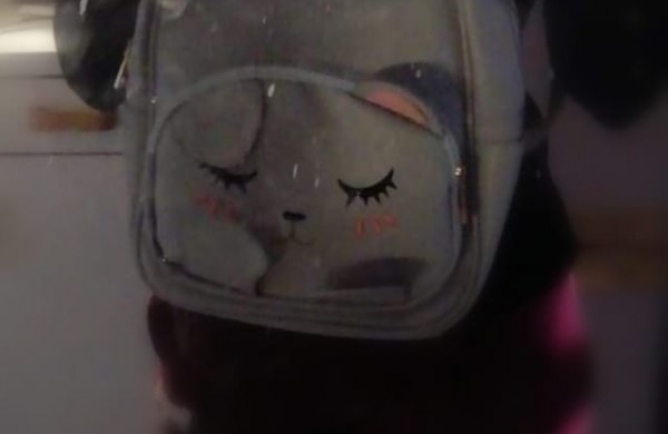 Apvogė, kai buto šeimininkai miegojo