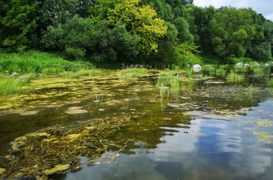 Jonavos rajone, siekiant įvertinti „Rail Baltica“ statybų poveikį žuvims, vykdyta specialioji žvejyba