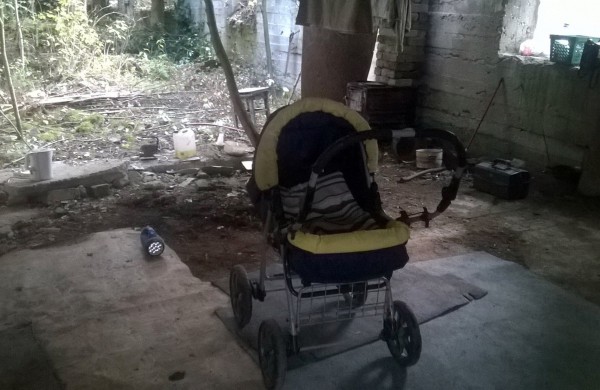 Į mišką atsikraustė gyventi su vaikais, mažiausiam – trys mėnesiai