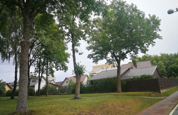 Jonavoje auga ir saldžias uogas nokinantys, ir pramonėje naudojami medžiai