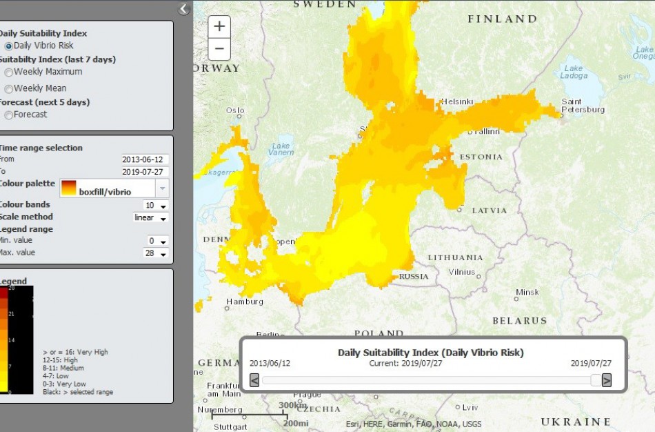 Perspėja atostogaujančius: Baltijos jūroje susidarė palankios sąlygos daugintis Vibrio bakterijoms