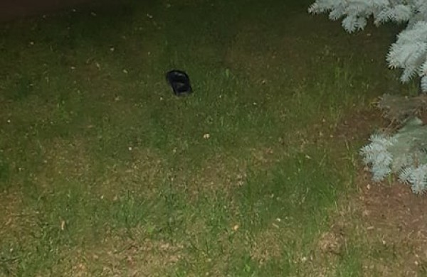 J. Ralio gatvėje siautėję vandalai paliko įkalčius: rastos šliurės ir nusikaltimo įrankis