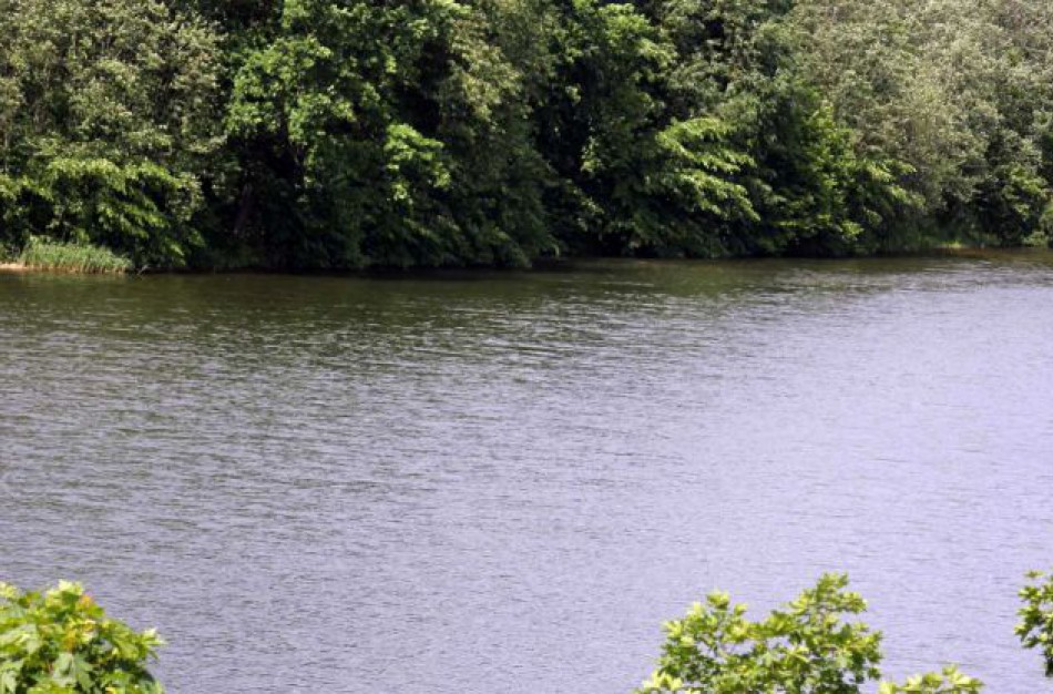 Žeimių tvenkinyje maudytis nerekomenduojama