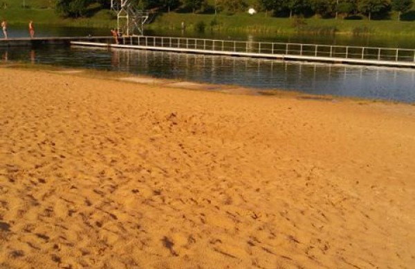 Jonavietė: vaikų pamėgtas tvenkinys virsta į pelkę