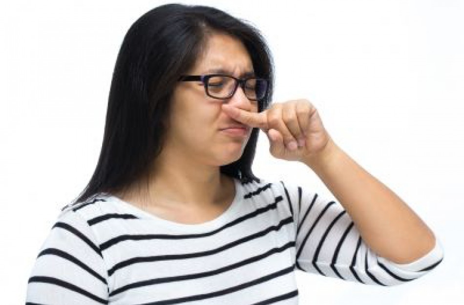 NVSC atliko apklausą: paaiškėjo, kad dvi Jonavos rajono bendruomenes vargina blogi kvapai 