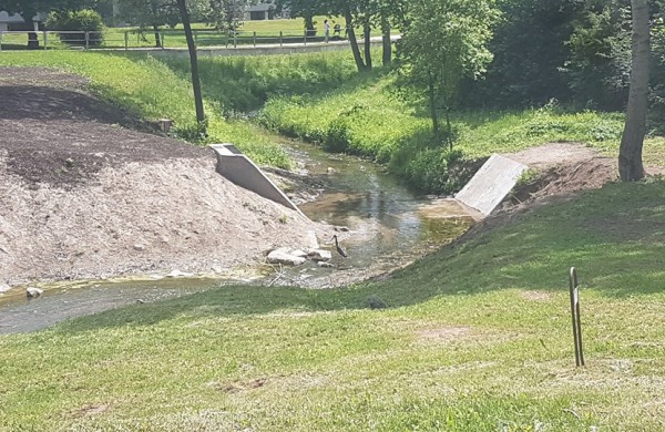 Jonavoje pastebėtas itin retas paukštis – juodasis gandras