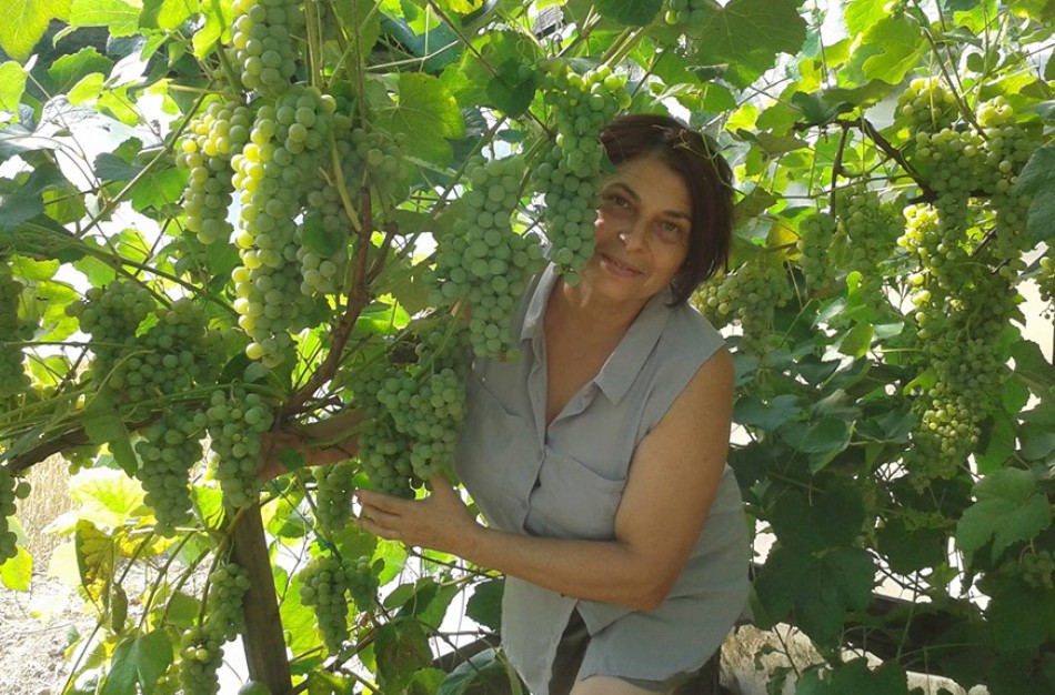 Kiekvieną dieną savo sodybą puoselėjantys vyndariai:,,norint sukurti kažką gražaus, turėti daug pinigų nėra būtina"