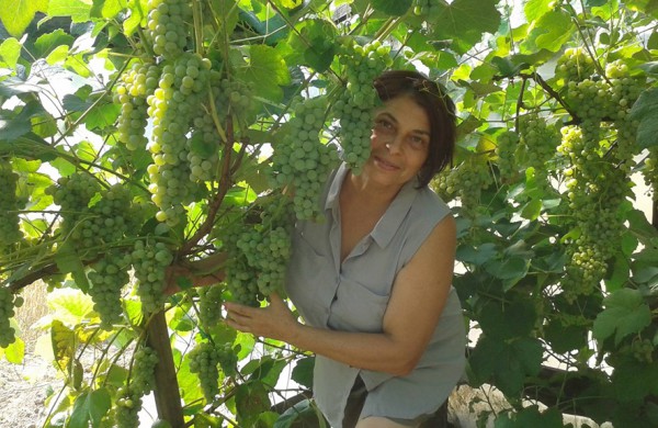 Kiekvieną dieną savo sodybą puoselėjantys vyndariai:,,norint sukurti kažką gražaus, turėti daug pinigų nėra būtina"