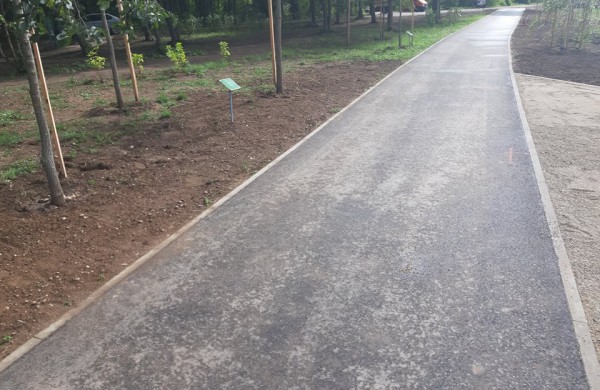 Ryškėja naujasis Taurostos parko veidas