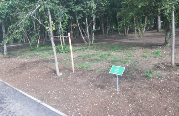 Ryškėja naujasis Taurostos parko veidas