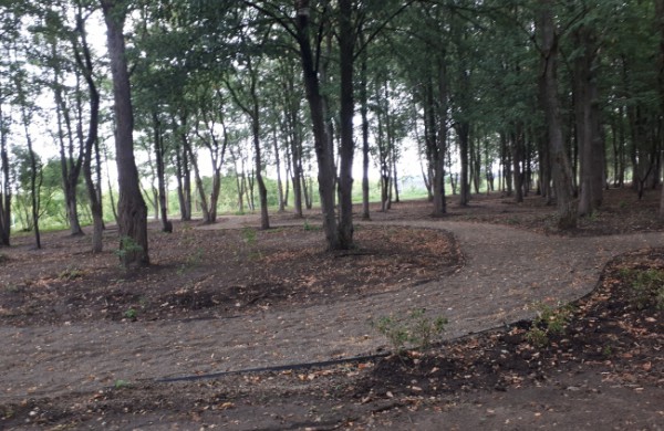 Ryškėja naujasis Taurostos parko veidas