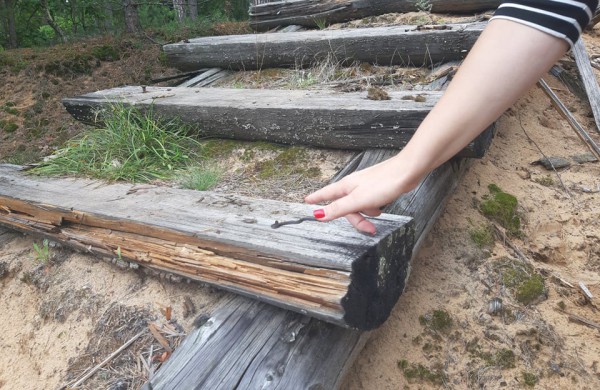 Į laisvę paleisti 22 lygiažvyniai žalčiai: ,,raudonos gyvatės“ susilaukė 19 jauniklių