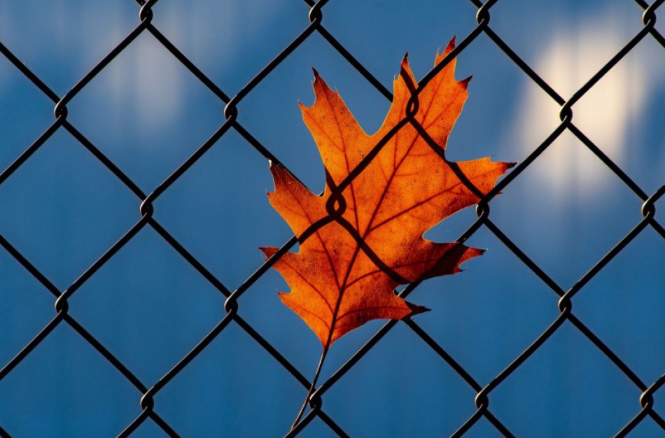 Pataisos įstaigose – griežtesnės sąlygos nedrausmingiems nuteistiesiems ir lengvas režimas einantiems resocializacijos keliu