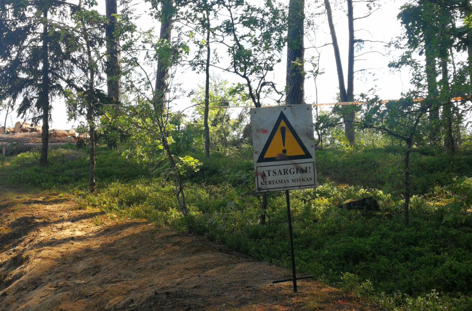 Salupių k. gyventojai: Vietoje valstybinio miško – privatus karjeras