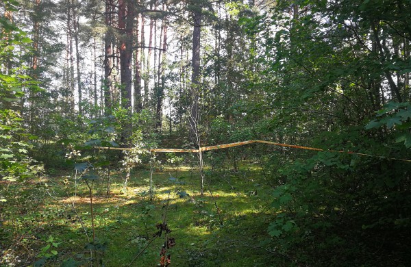 Salupių k. gyventojai: Vietoje valstybinio miško – privatus karjeras