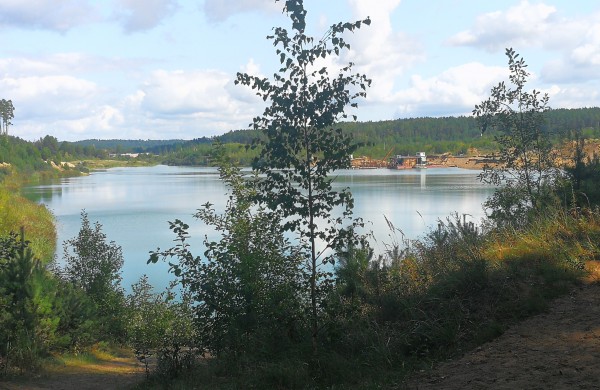 Salupių k. gyventojai: Vietoje valstybinio miško – privatus karjeras