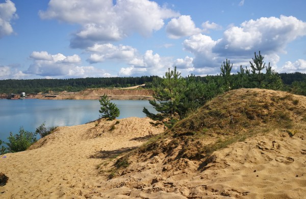 Salupių k. gyventojai: Vietoje valstybinio miško – privatus karjeras