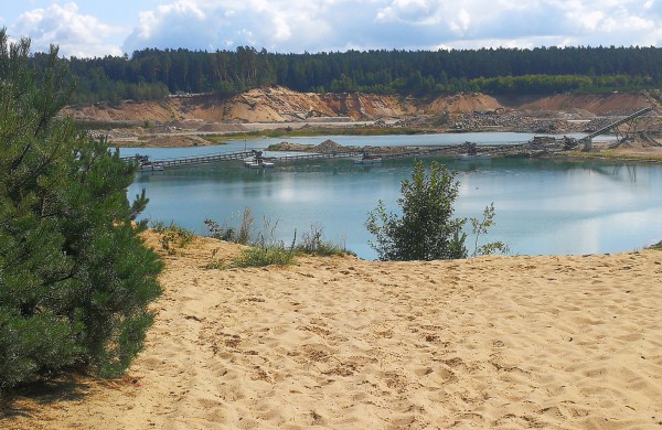 Salupių k. gyventojai: Vietoje valstybinio miško – privatus karjeras