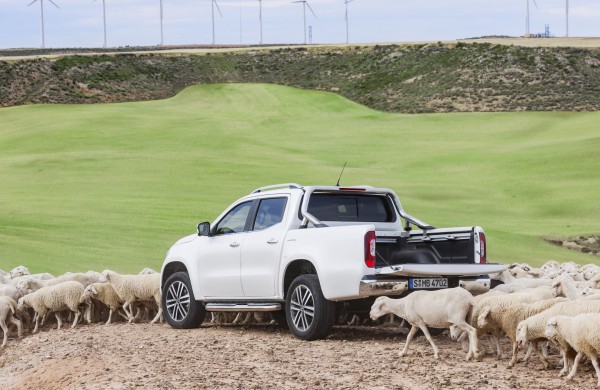 Pikapų evoliucija: kodėl darbiniai arkliai tapo kasdieniais palydovais