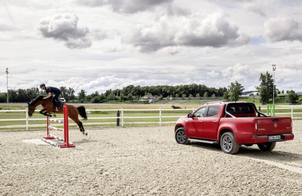 Pikapų evoliucija: kodėl darbiniai arkliai tapo kasdieniais palydovais