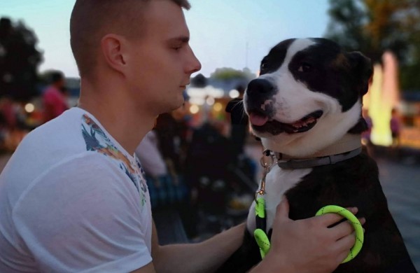 Apie šunų jėgos sportą - iš pirmų lūpų: kol vieni smagiai leidžia laiką, kiti toliau tiki mitais