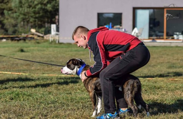 Apie šunų jėgos sportą - iš pirmų lūpų: kol vieni smagiai leidžia laiką, kiti toliau tiki mitais
