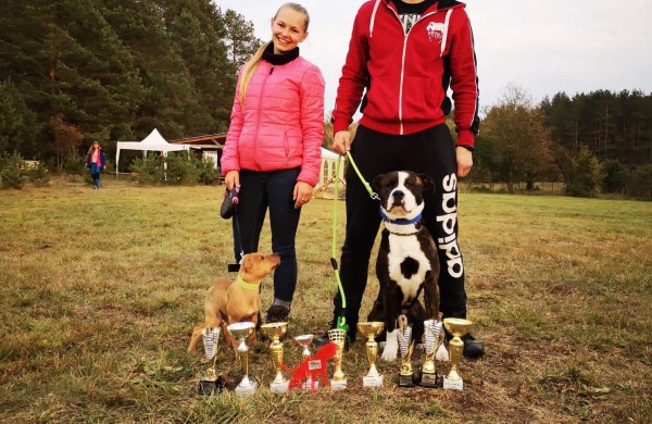 Apie šunų jėgos sportą - iš pirmų lūpų: kol vieni smagiai leidžia laiką, kiti toliau tiki mitais