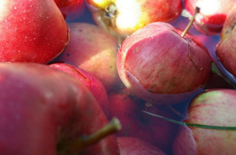 Šalnų paveiktais obuoliais bus galima prekiauti ir prekybos centruose