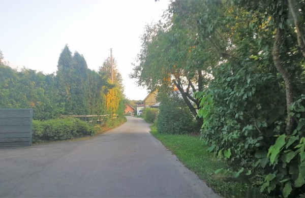 Klaidžiojimas „valdžios koridoriuose“ - pažadai ir liko pažadais?