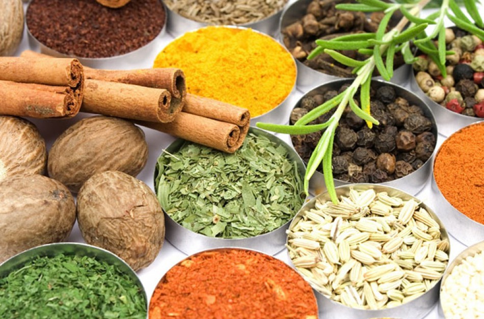 Pirmą kartą Jonavoje – Ajurvedos mokslo pristatymas