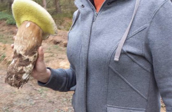 Jonavietės laimikis – beveik 900 gramų sveriantis baravykas