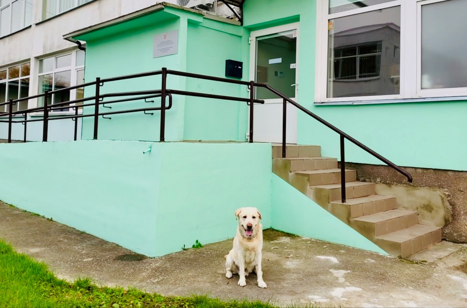 Naujas Jonavos VTAS patalpas aplankė neįprasti svečiai – sukėlė džiaugsmo bangą