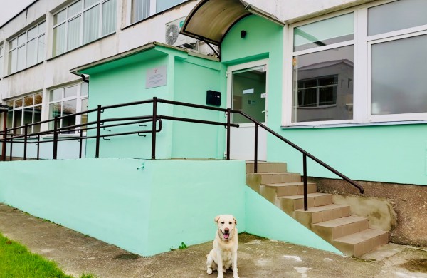 Naujas Jonavos VTAS patalpas aplankė neįprasti svečiai – sukėlė džiaugsmo bangą