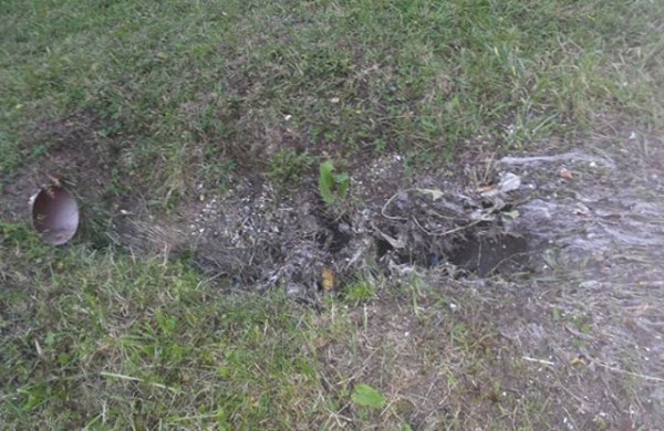 Skaitytojas: Fekalijomis aplipusiais batais tiesiai į ugdymo įstaigą