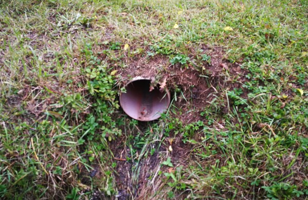 Skaitytojas: Fekalijomis aplipusiais batais tiesiai į ugdymo įstaigą