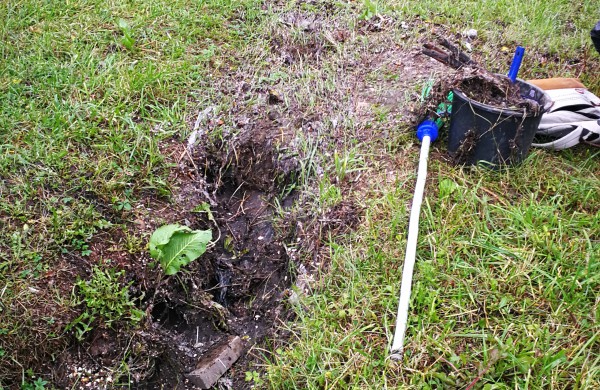 Skaitytojas: Fekalijomis aplipusiais batais tiesiai į ugdymo įstaigą